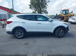 2018 Hyundai Santa Fe Sport 2.4l Белый vin: 5NMZU3LB6JH059257