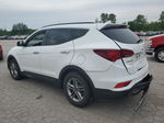 2018 Hyundai Santa Fe Sport  Белый vin: 5NMZU3LB7JH056089