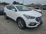 2018 Hyundai Santa Fe Sport  Белый vin: 5NMZU3LB7JH056089