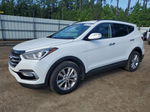 2018 Hyundai Santa Fe Sport  White vin: 5NMZU4LA9JH073926