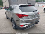 2018 Hyundai Santa Fe Sport 2.4l Gray vin: 5NMZUDLB4JH058176