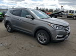 2018 Hyundai Santa Fe Sport  Серый vin: 5NMZUDLB5JH059241