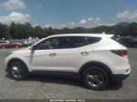 2018 Hyundai Santa Fe Sport 2.4l White vin: 5NMZUDLB5JH072636