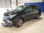 2018 Hyundai Santa Fe Sport  Черный vin: 5NMZUDLB5JH099500