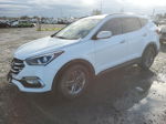 2018 Hyundai Santa Fe Sport  Белый vin: 5NMZUDLB6JH096833