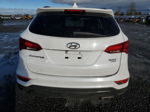 2018 Hyundai Santa Fe Sport  Белый vin: 5NMZUDLB6JH096833