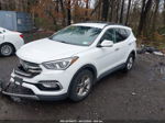 2018 Hyundai Santa Fe Sport 2.4l Белый vin: 5NMZUDLB7JH059953