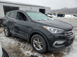 2018 Hyundai Santa Fe Sport  Черный vin: 5NMZUDLB9JH064636