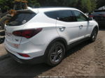 2018 Hyundai Santa Fe Sport 2.4l White vin: 5NMZUDLBXJH082739