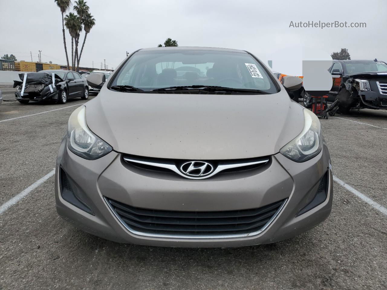 2016 Hyundai Elantra Se Tan vin: 5NPDH4AE0GH692706