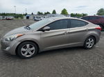 2013 Hyundai Elantra Gls Gold vin: 5NPDH4AE1DH337667