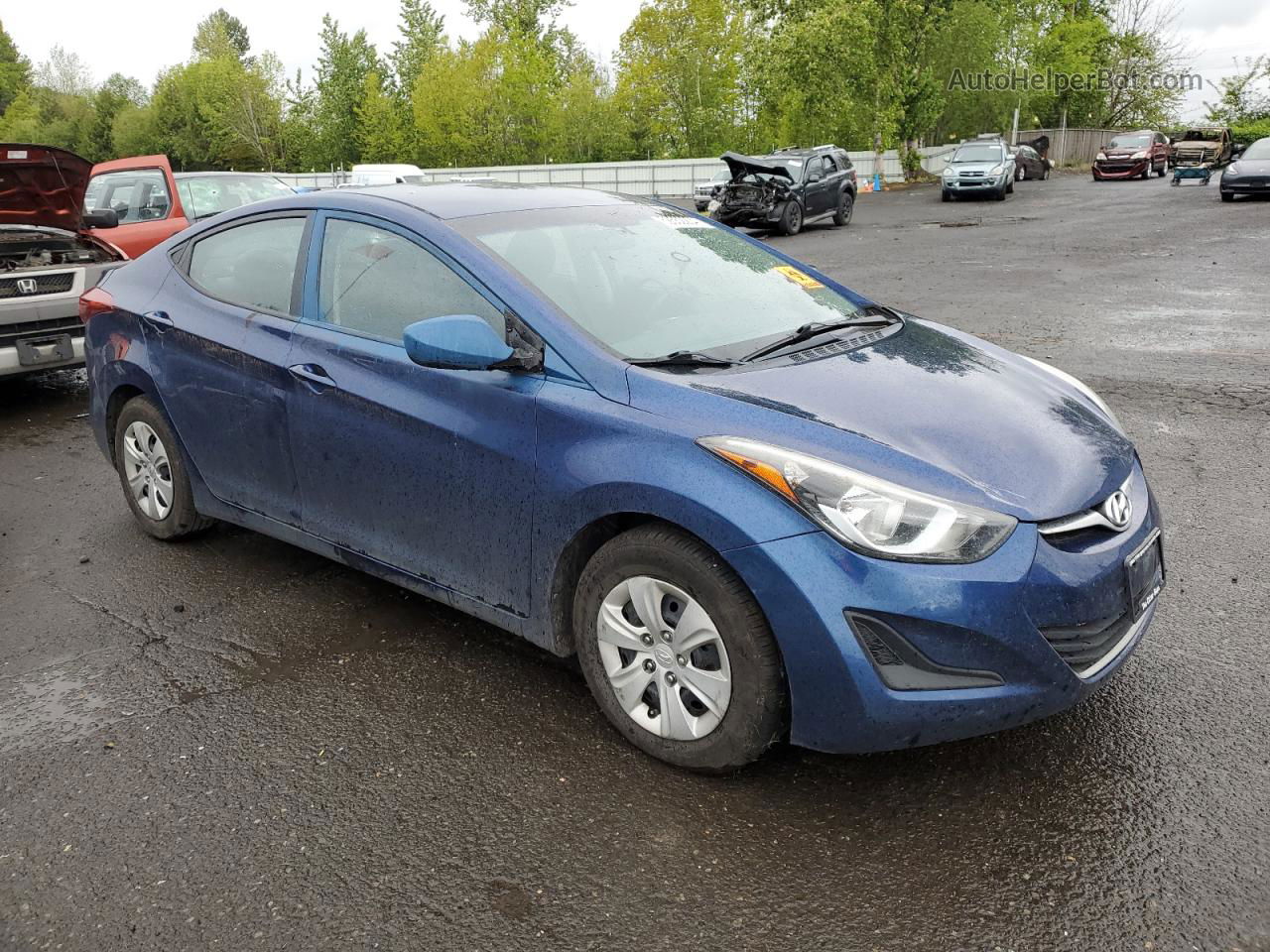 2016 Hyundai Elantra Se Blue vin: 5NPDH4AE1GH768675