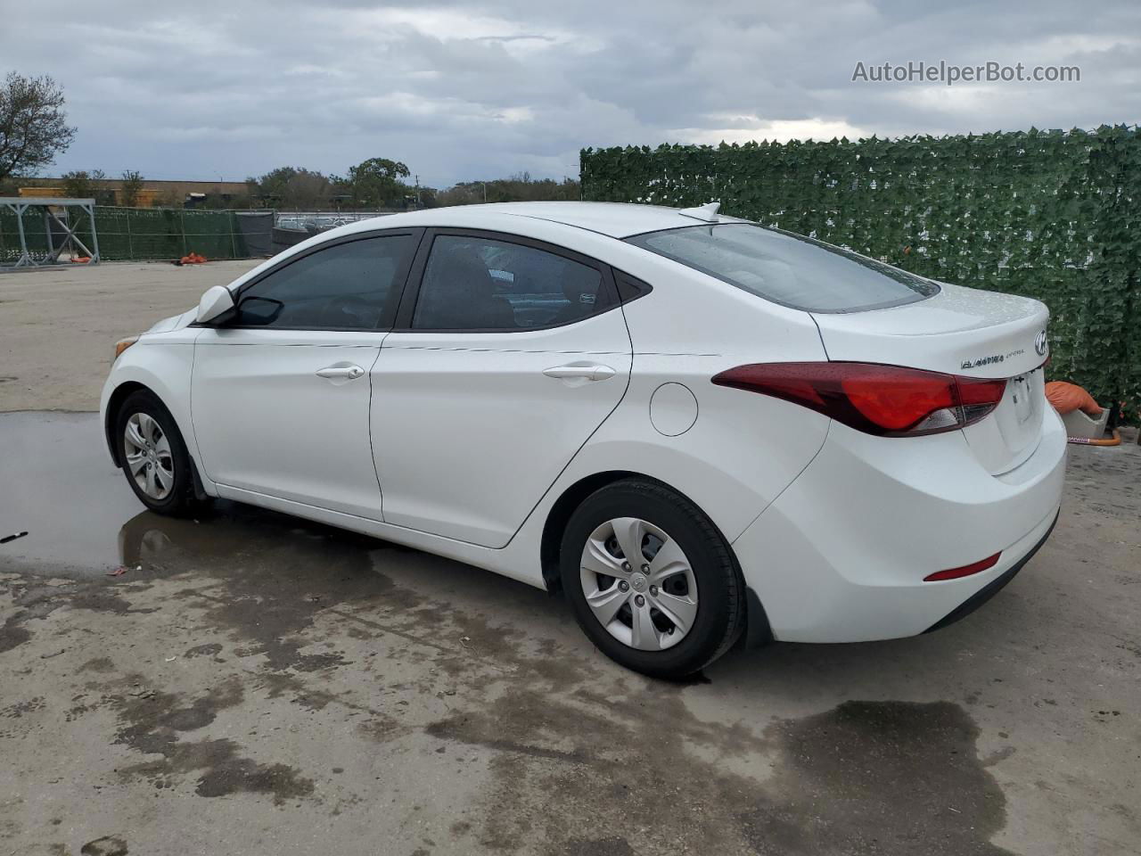 2016 Hyundai Elantra Se White vin: 5NPDH4AE1GH776694