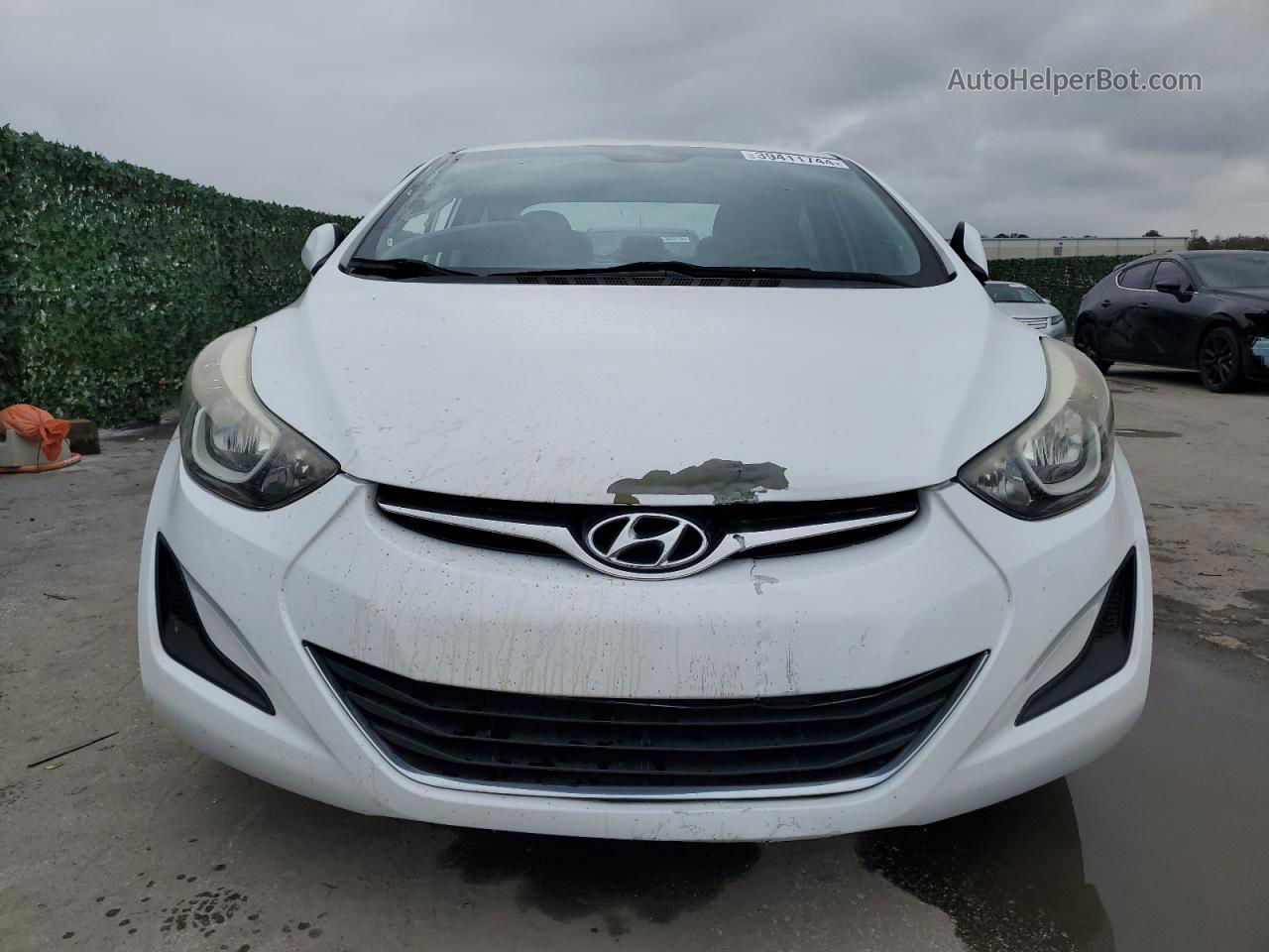 2016 Hyundai Elantra Se White vin: 5NPDH4AE1GH776694