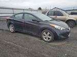 2011 Hyundai Elantra Gls Black vin: 5NPDH4AE2BH024043