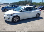 2014 Hyundai Elantra Se White vin: 5NPDH4AE2EH449489