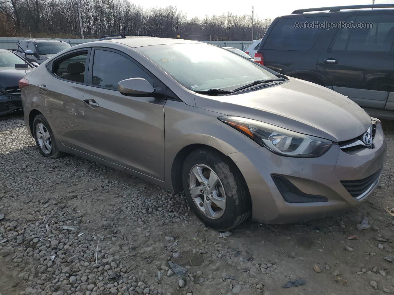 2014 Hyundai Elantra Se Желто-коричневый vin: 5NPDH4AE2EH518486