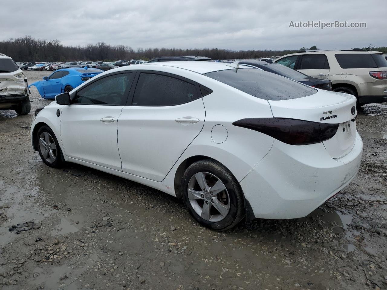 2013 Hyundai Elantra Gls White vin: 5NPDH4AE3DH431727