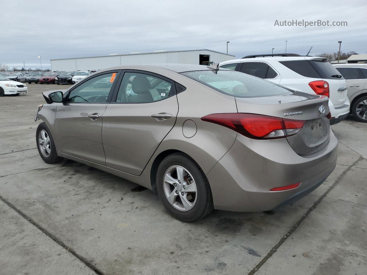 2014 Hyundai Elantra Se Желто-коричневый vin: 5NPDH4AE4EH502953