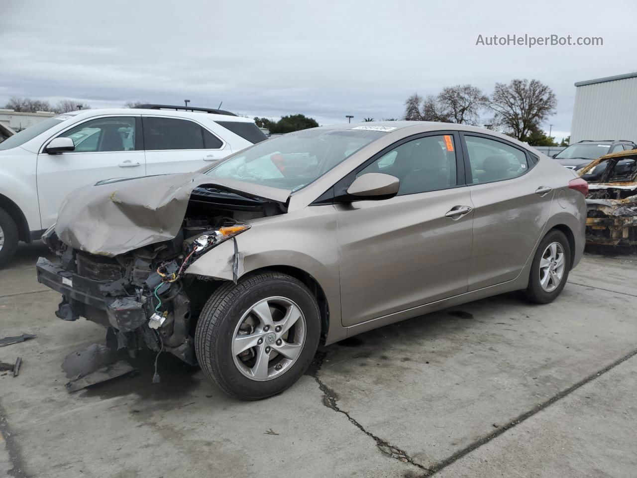 2014 Hyundai Elantra Se Желто-коричневый vin: 5NPDH4AE4EH502953