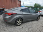 2014 Hyundai Elantra Se Gray vin: 5NPDH4AE5EH479022