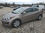 2016 Hyundai Elantra Se Gold vin: 5NPDH4AE5GH744721