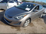 2016 Hyundai Elantra Se Gold vin: 5NPDH4AE5GH771918