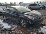 2013 Hyundai Elantra Gls Black vin: 5NPDH4AE6DH248824