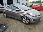 2013 Hyundai Elantra Gls Gray vin: 5NPDH4AE6DH323554