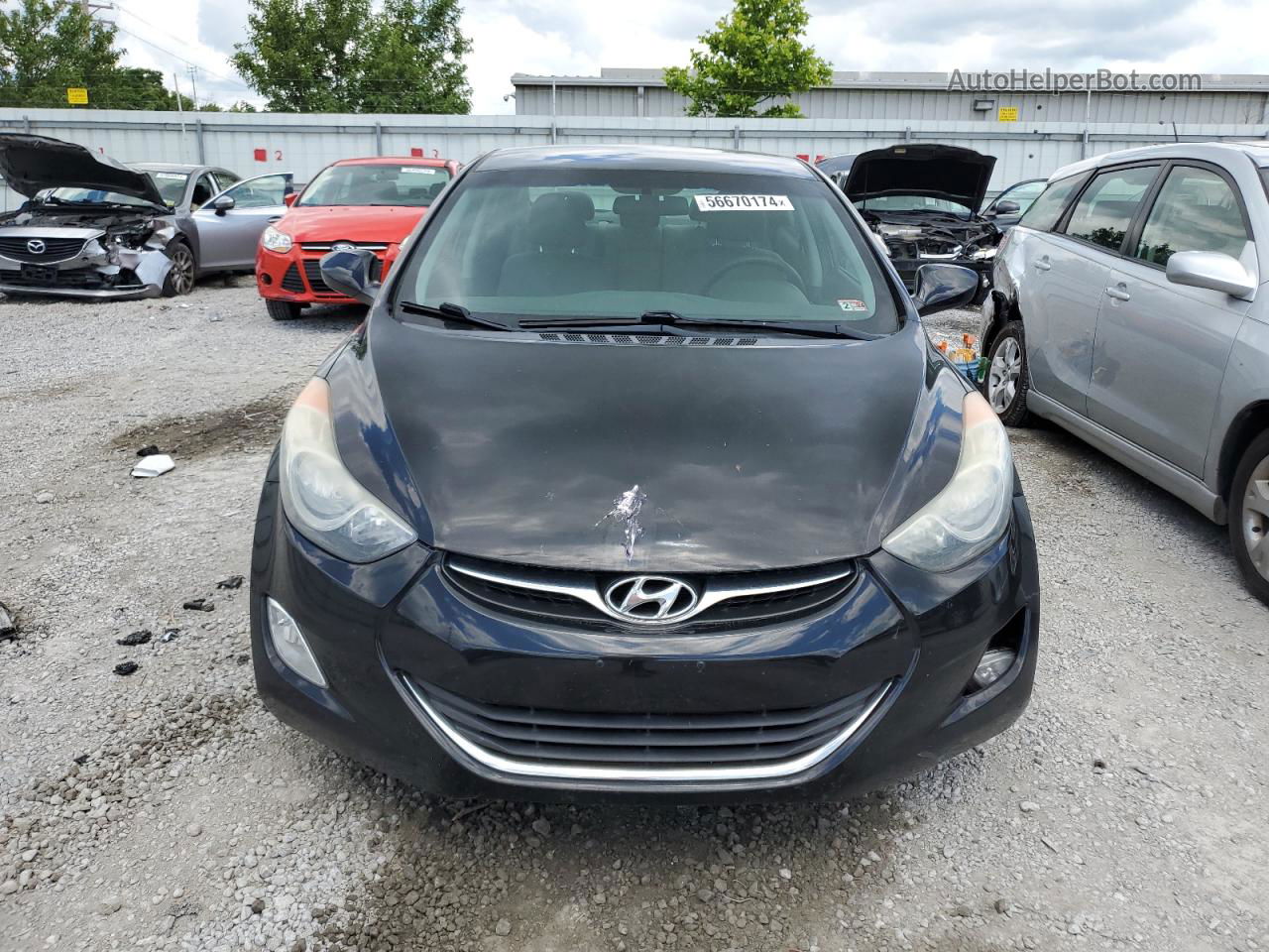 2013 Hyundai Elantra Gls Черный vin: 5NPDH4AE6DH344193