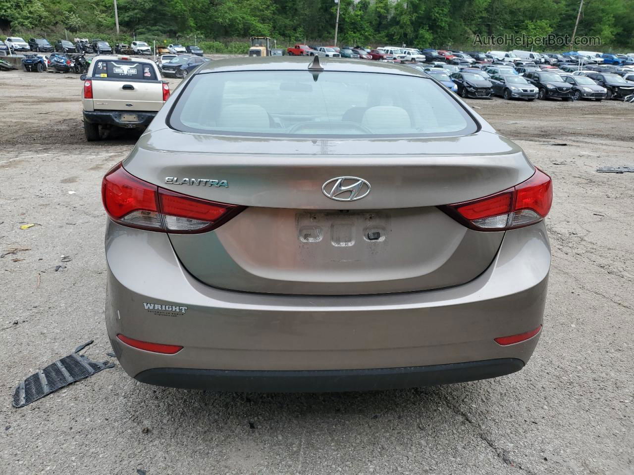 2014 Hyundai Elantra Se Бежевый vin: 5NPDH4AE7EH457331