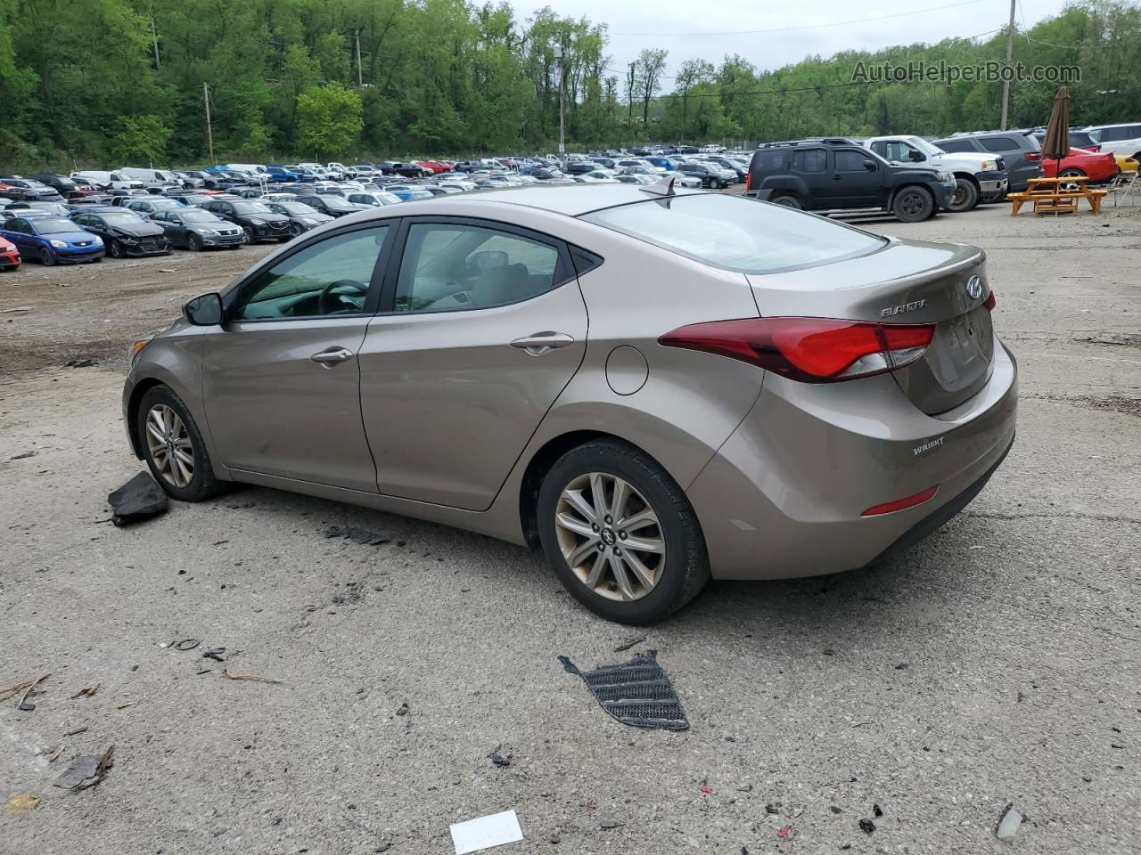 2014 Hyundai Elantra Se Beige vin: 5NPDH4AE7EH457331