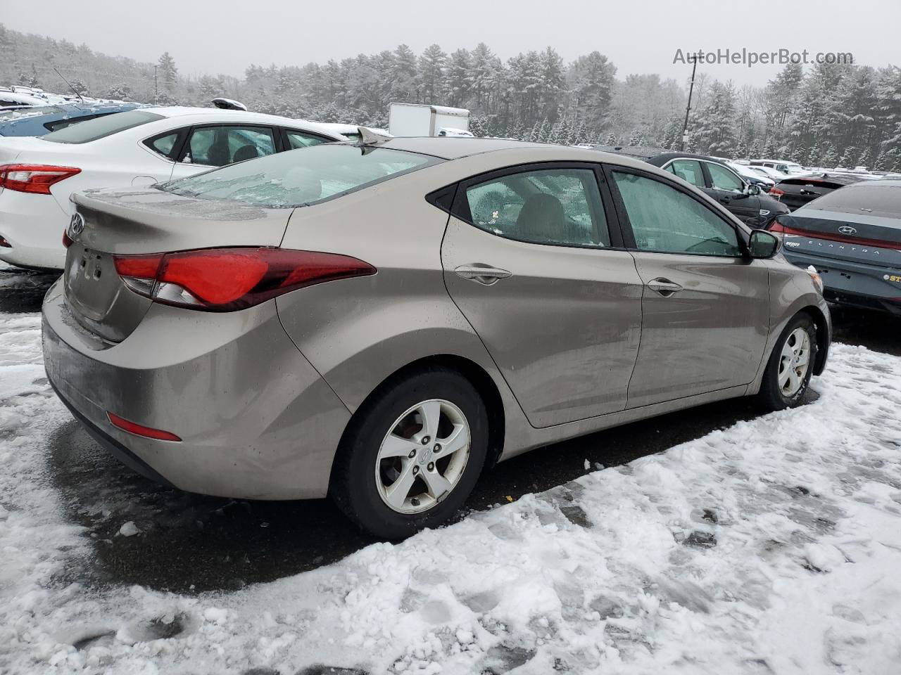 2014 Hyundai Elantra Se Beige vin: 5NPDH4AE7EH524753