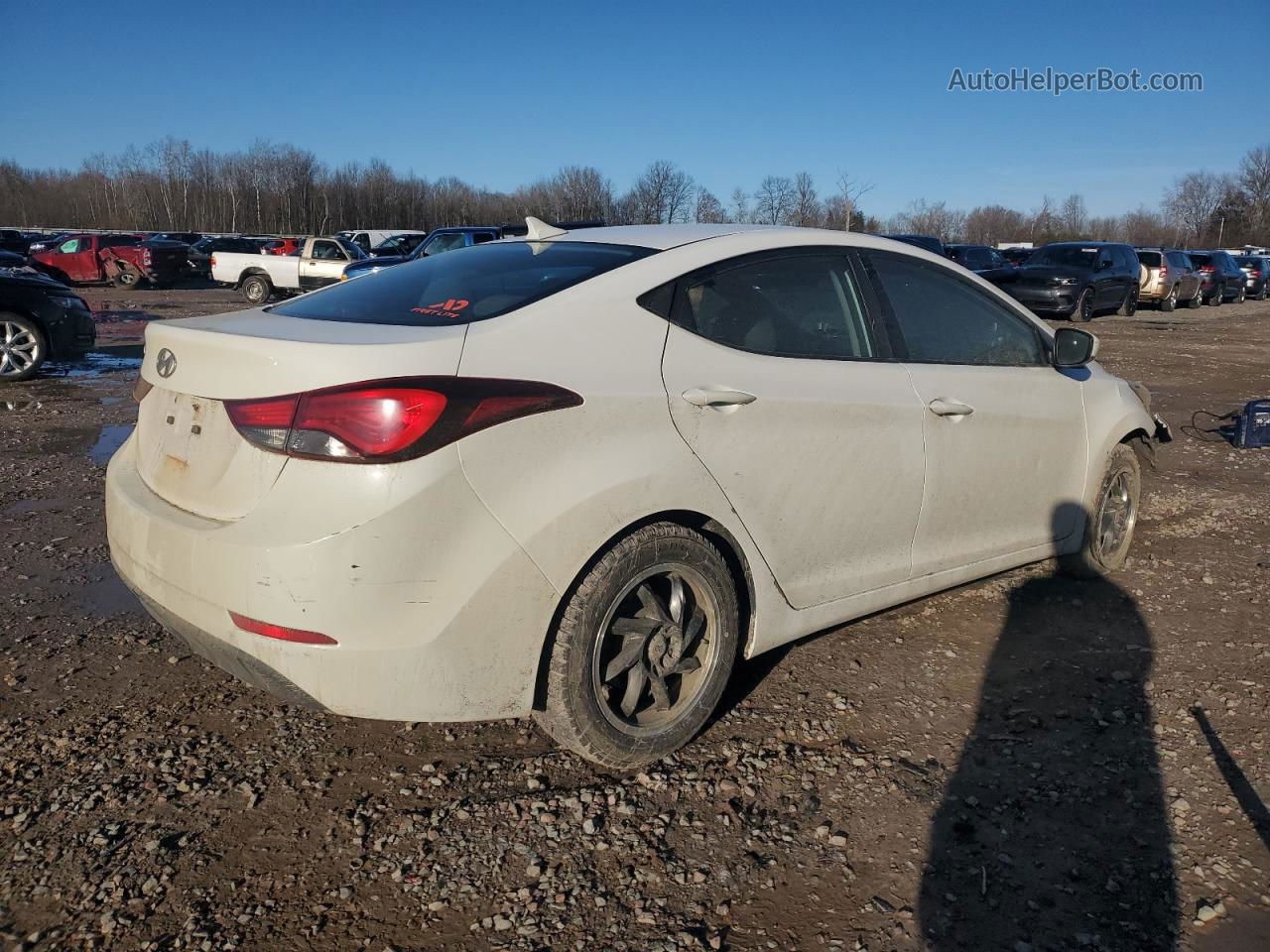 2014 Hyundai Elantra Se Белый vin: 5NPDH4AE8EH525331