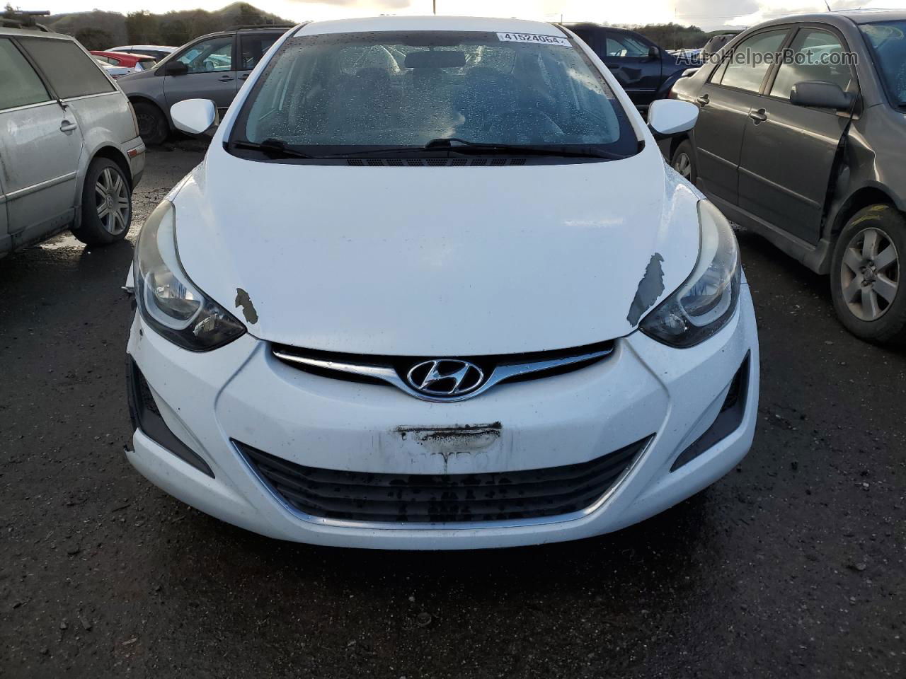 2016 Hyundai Elantra Se White vin: 5NPDH4AE8GH700700