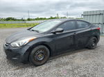 2013 Hyundai Elantra Gls Black vin: 5NPDH4AE9DH234562