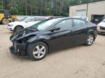 2013 Hyundai Elantra Gls Black vin: 5NPDH4AE9DH373090