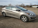 2014 Hyundai Elantra Se Beige vin: 5NPDH4AE9EH480268