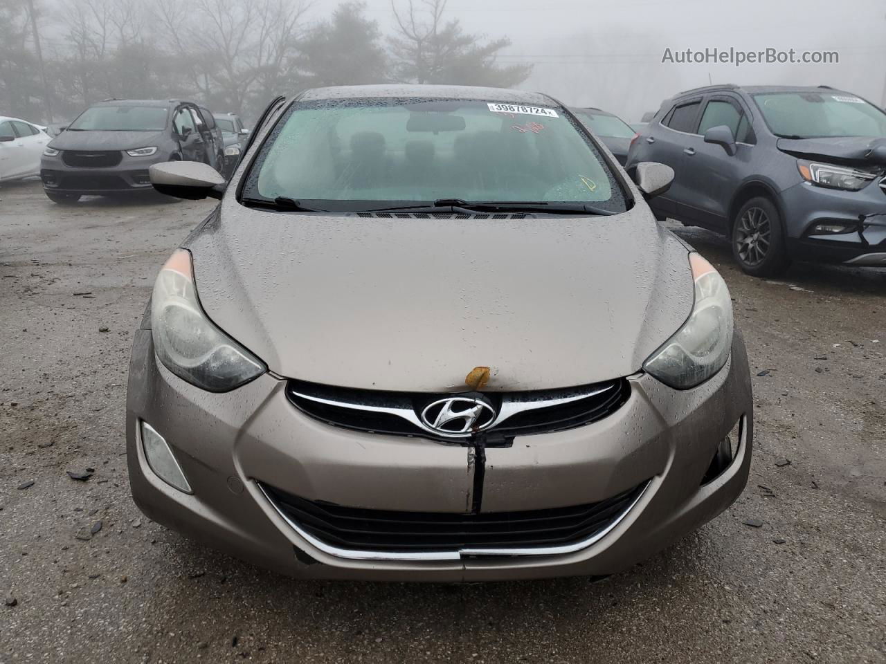 2013 Hyundai Elantra Gls Brown vin: 5NPDH4AEXDH273371