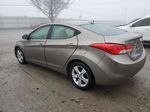 2013 Hyundai Elantra Gls Brown vin: 5NPDH4AEXDH273371