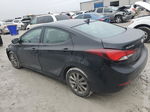 2014 Hyundai Elantra Se Черный vin: 5NPDH4AEXEH503895