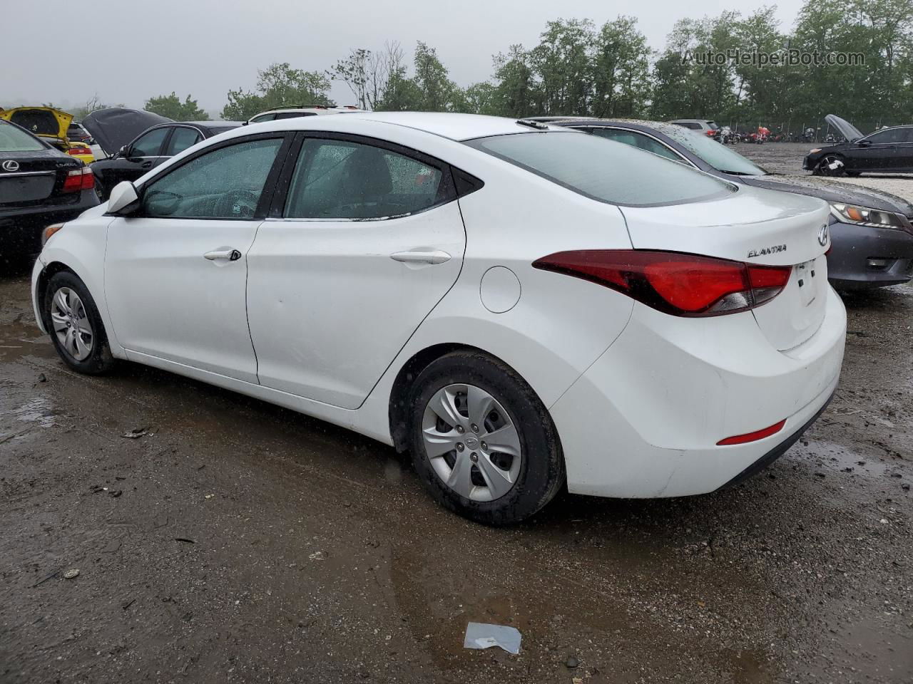 2016 Hyundai Elantra Se Белый vin: 5NPDH4AEXGH691126