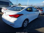 2016 Hyundai Elantra Se Белый vin: 5NPDH4AEXGH710063