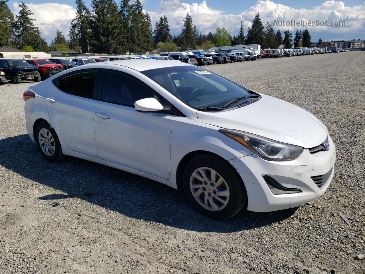 2016 Hyundai Elantra Se White vin: 5NPDH4AEXGH776175