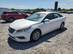 2017 Hyundai Sonata Eco Белый vin: 5NPE24AA3HH440811