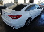 2017 Hyundai Sonata Eco Белый vin: 5NPE24AA3HH509450