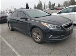 2017 Hyundai Sonata Se Black vin: 5NPE24AF0HH438753