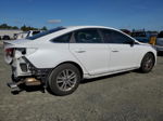 2017 Hyundai Sonata Se White vin: 5NPE24AF0HH527478