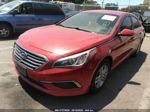 2017 Hyundai Sonata 2.4l Red vin: 5NPE24AF0HH585798