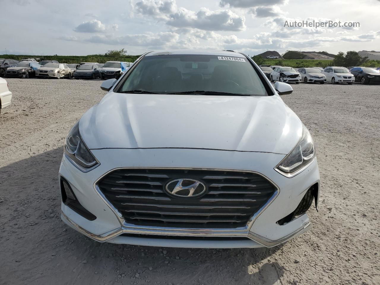 2018 Hyundai Sonata Se White vin: 5NPE24AF0JH622113